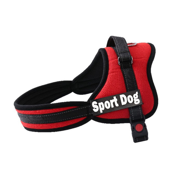 Harness for Dogs - Brite