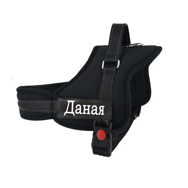 Harness for Dogs - Brite