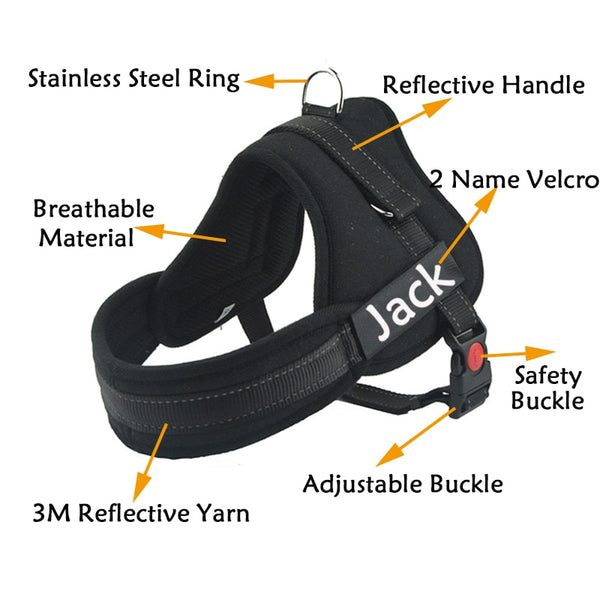 Harness for Dogs - Brite