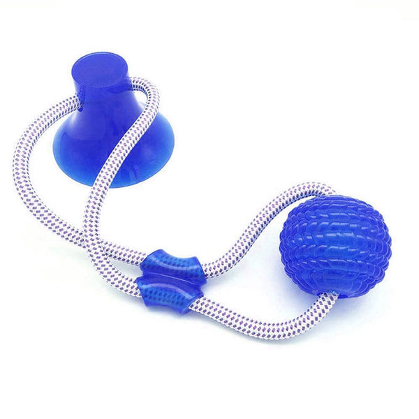 Suction Cup Tug Toy - Brite