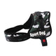 Harness for Dogs - Brite