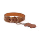 Genuine Leather Collar for dogs and cats - Brite