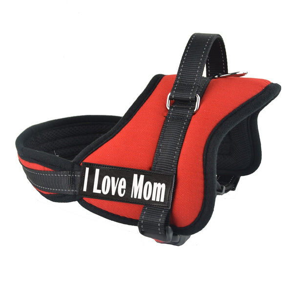 Harness for Dogs - Brite