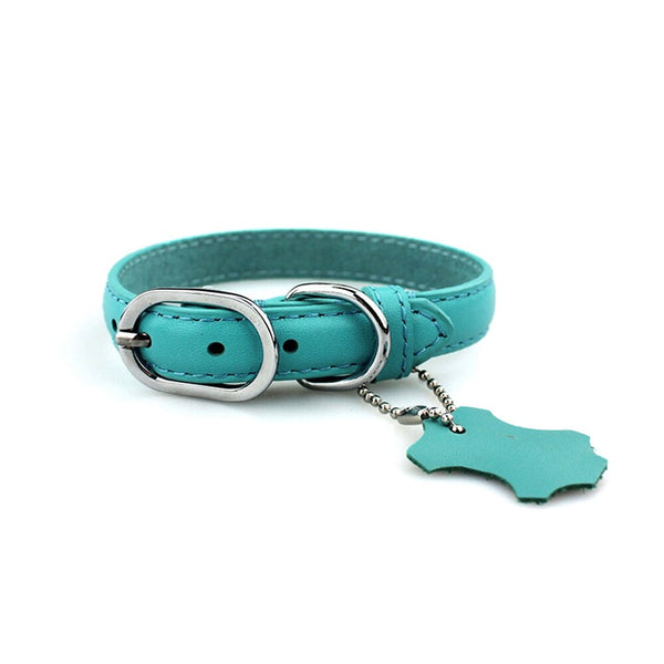 Genuine Leather Collar for dogs and cats - Brite