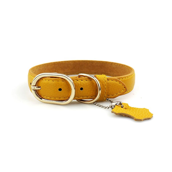 Genuine Leather Collar for dogs and cats - Brite